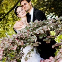 Svatební foto v parku zámku Sychrov (© Jan Jirouš)